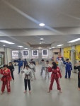 용인대KAT태권도
