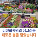 김선화학원