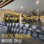 마인드휘트니스 영어교육도시점