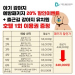 디테일 동물의료센터