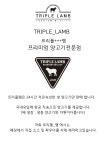트리플램