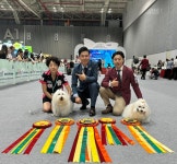 어썸테일즈