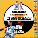 큰별태비태권도