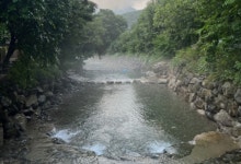 김현겸법무사사무소