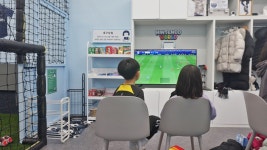 축구대장