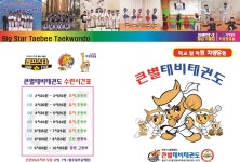 큰별태비태권도