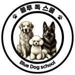 블루 독 스쿨