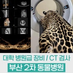 부산 24시 연산동물의료센터