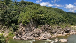 김현겸법무사사무소