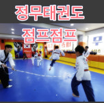 정무태권도