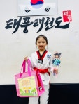 용인대태풍태권도