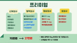 더포레동물병원