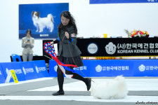 어썸테일즈