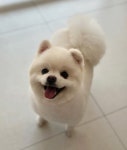 더테일