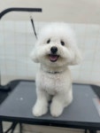 씻을개