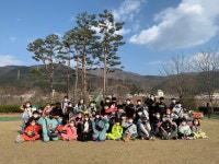 어썸라온 태권도