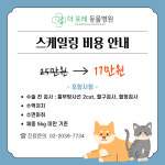 더포레동물병원