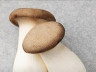 사대진미정육식당 동구점