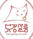 고양이무마취미용 묘갱살롱