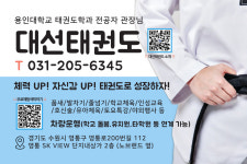 용인대대선태권도