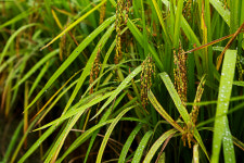 변미숙공인중개사사무소