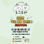 도그포레 강아지유치원