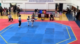 나라태권도