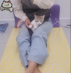 빛나옹