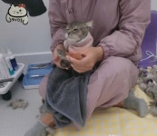 빛나옹