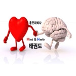 용인대석사M&H태권도
