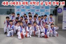 용인대 가온 태권도