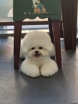 더예쁘개