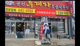 광천후계자토굴새우젓상회