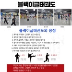 블랙이글 학익 태권도
