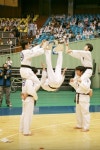 인성효 박사 태권도장