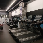 조지아휘트니스