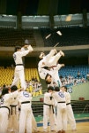 인성효 박사 태권도장