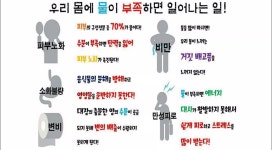 위너 점핑 다이어트