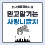 천안영플란트치과의원