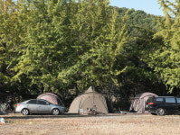 경주쿠키오토캠핑장