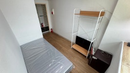 신일스테이 페퍼민트 시화직영점