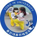 용인대용전태권도
