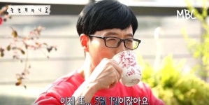 티플랜트