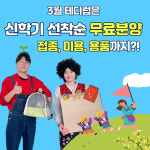 인천강아지분양 테디럽