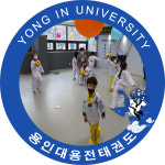 용인대용전태권도