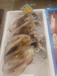 김도훈스시