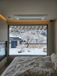 스테이인옥