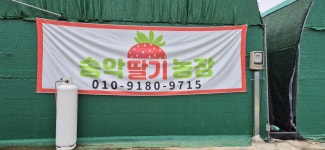 송악딸기농장