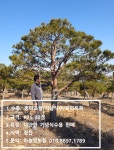 하늘빛농원