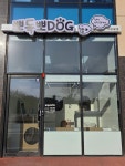 뽀독뽀DOG